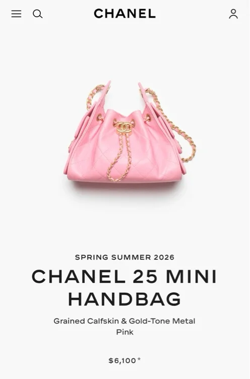 CHANEL 25 Mini Handbag