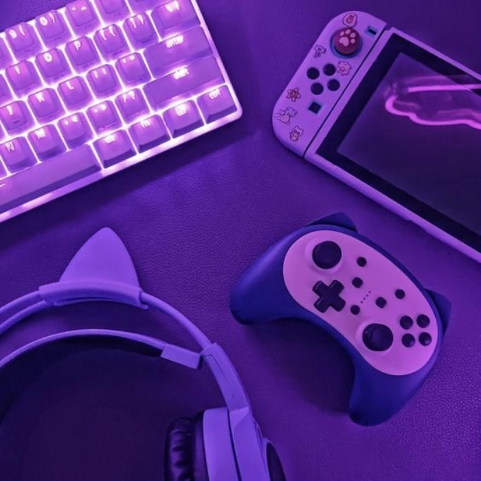 Video game fund!