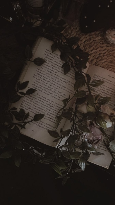 Books! 