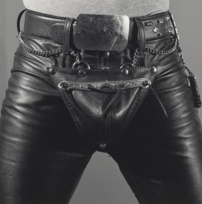 Leather Shine Large