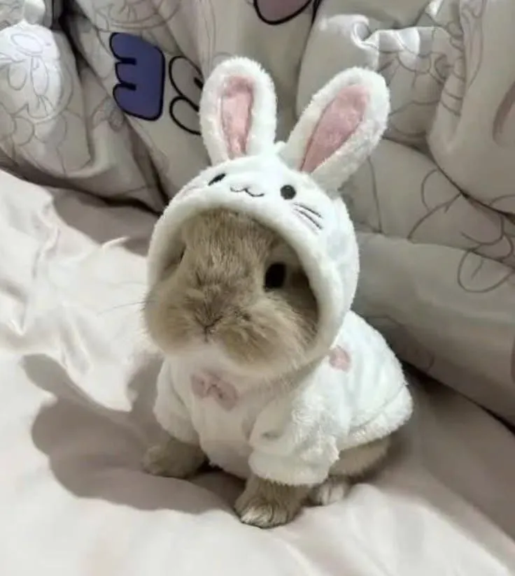 kiss me ( ˶˘ ³˘)♡