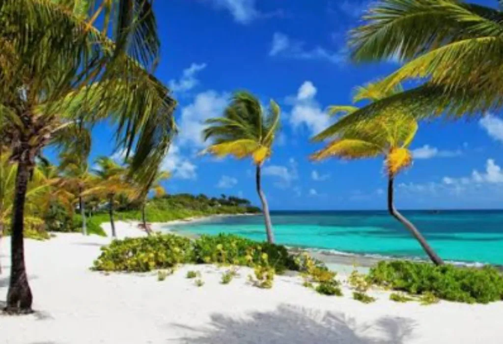 Queen Beach Vacation