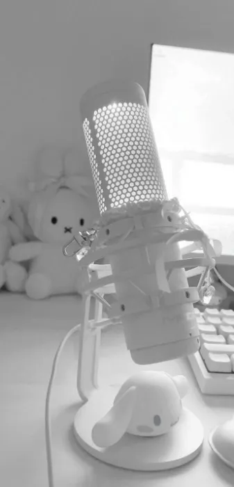 Microphone