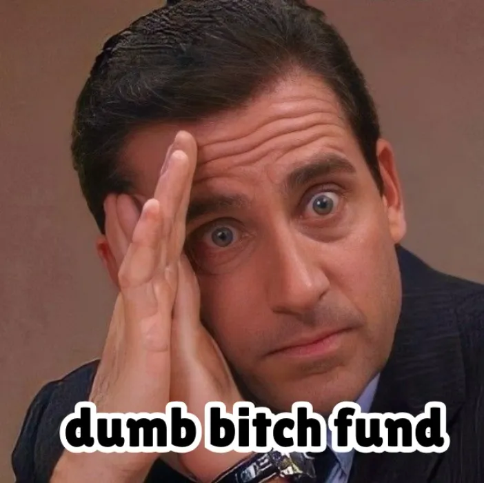 dumb binch fund  