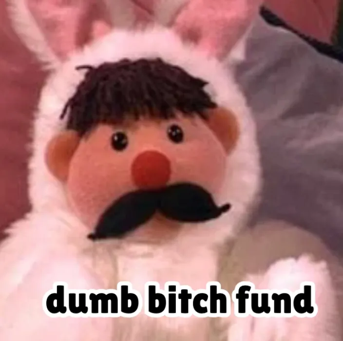 dumb binch fund 🫖 