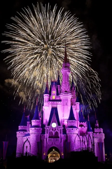 DisneyWorld Ticket