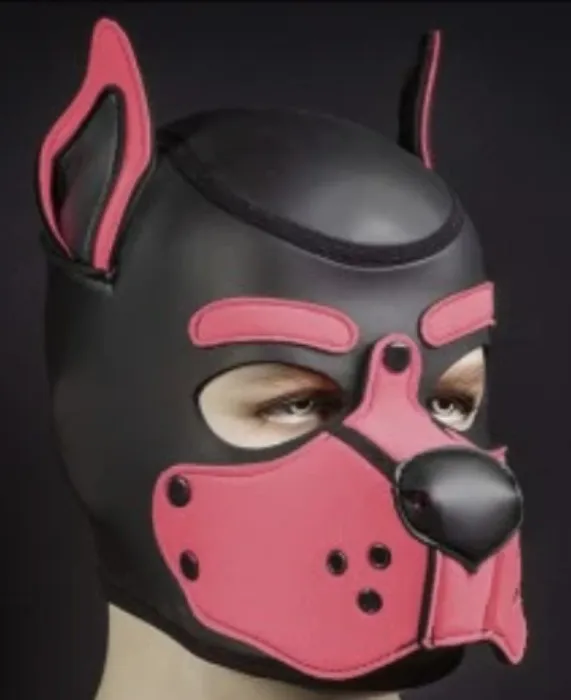 Neoprene K9 Hood - 16 Colors