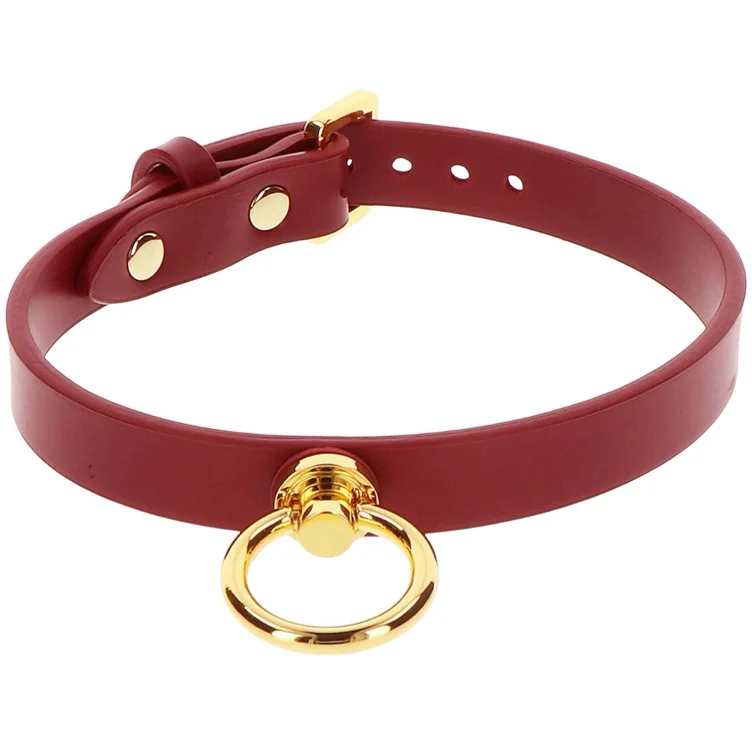 Red and Gold Collar