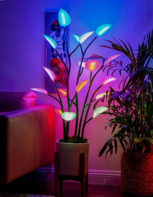 Led Plant 