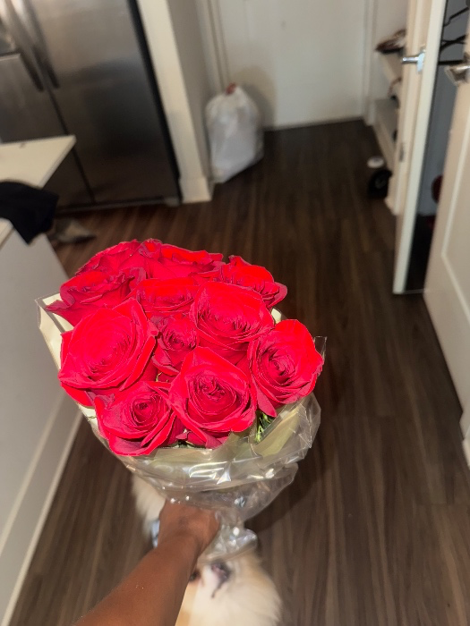100 roses