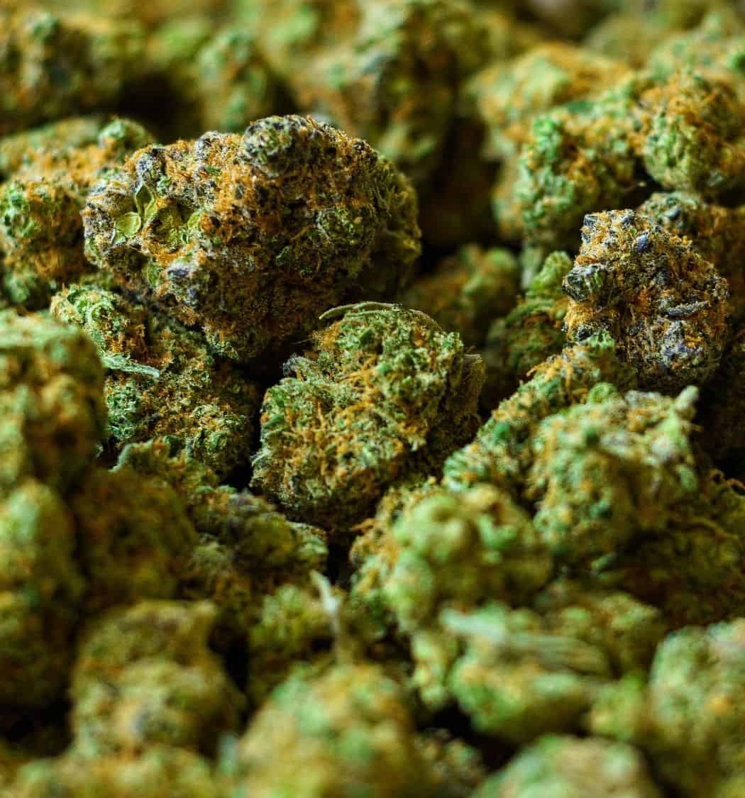 Gift me Flowers? 🍃💫