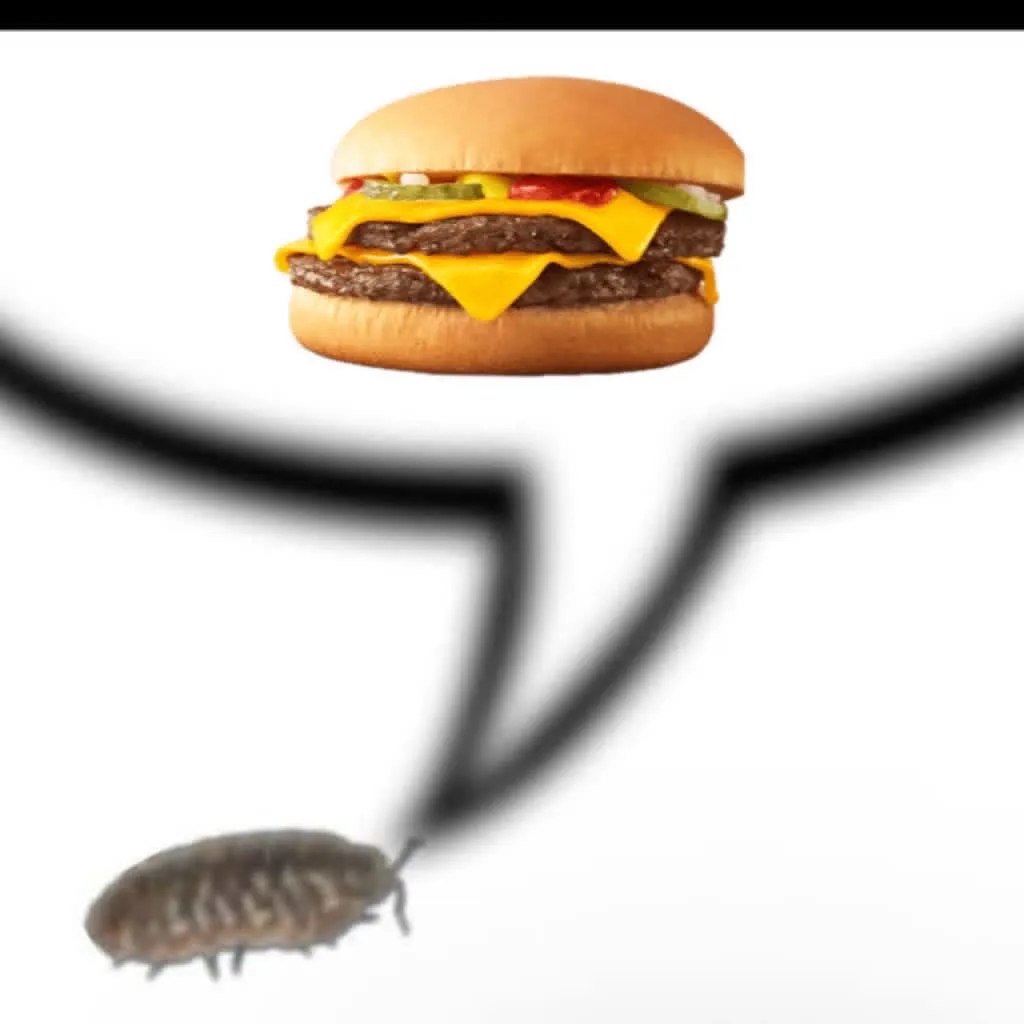 burger fund