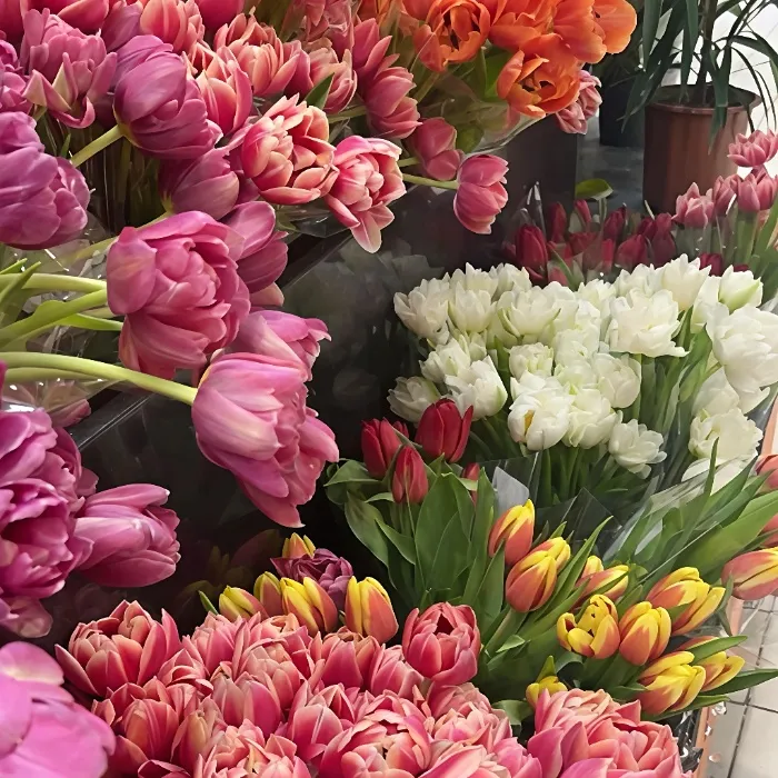 Flowers {55 ZZ gems}