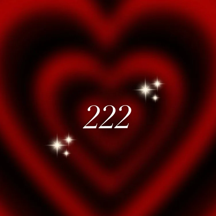 ✨222✨