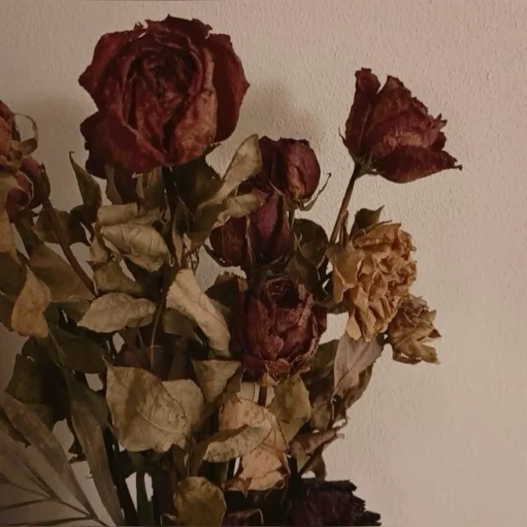 daily flowers 