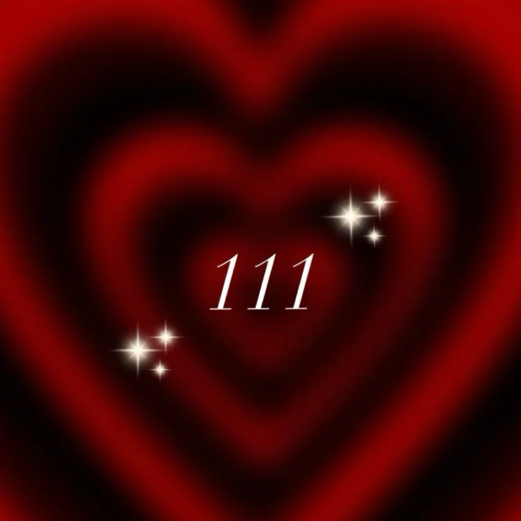 ✨111✨