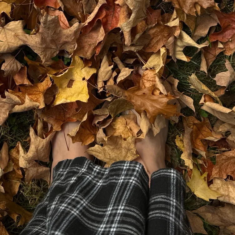 cruncy leaves reveal 
