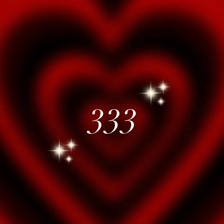 ✨333✨