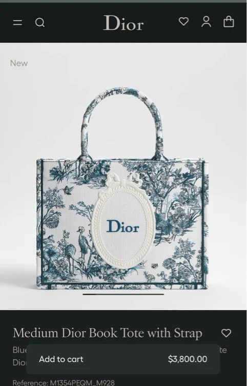 Dior book tote