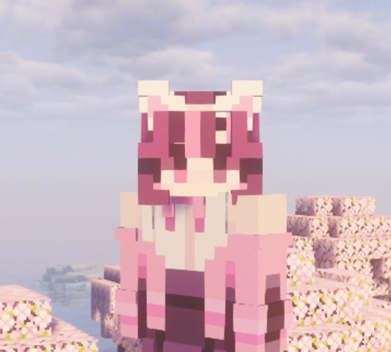 Minecraft Server