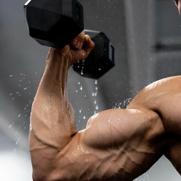 Gym Membership ($50)