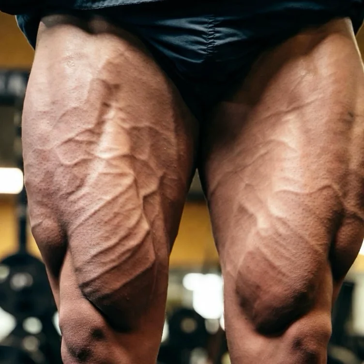 Annual Gym Membership ($350)