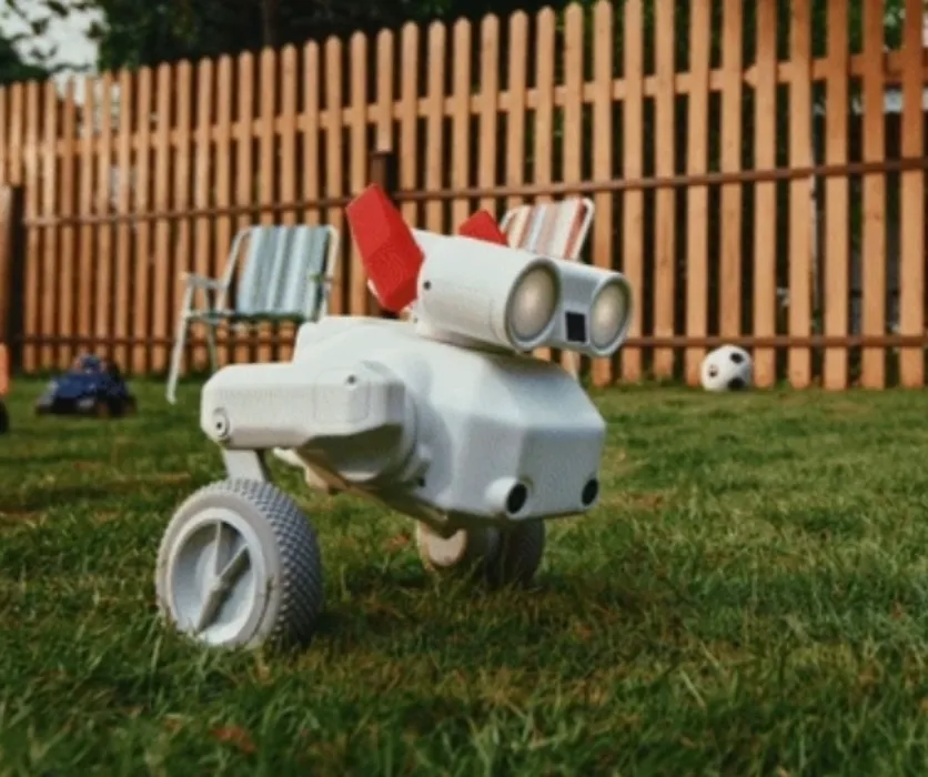 Beni - All-Terrain Camera Robot