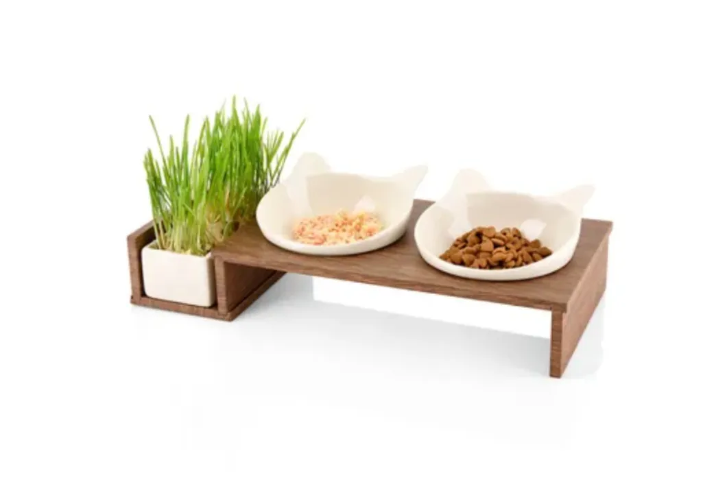Eating bowl ergonomical