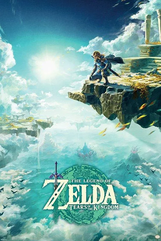 The Legend of Zelda: Tears of the Kingdom Nintendo Switch Access