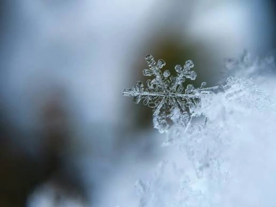 Winter clothes fund