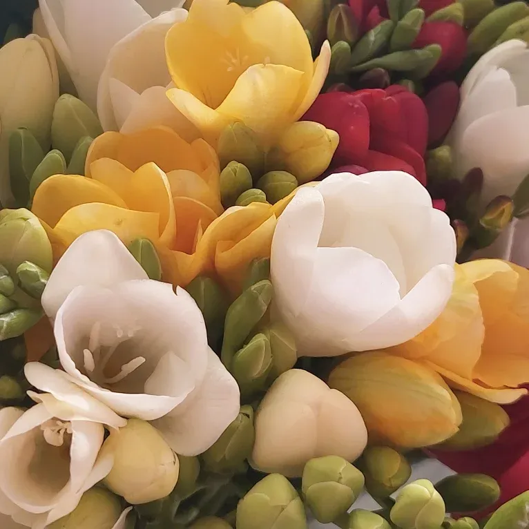 Flowers 
