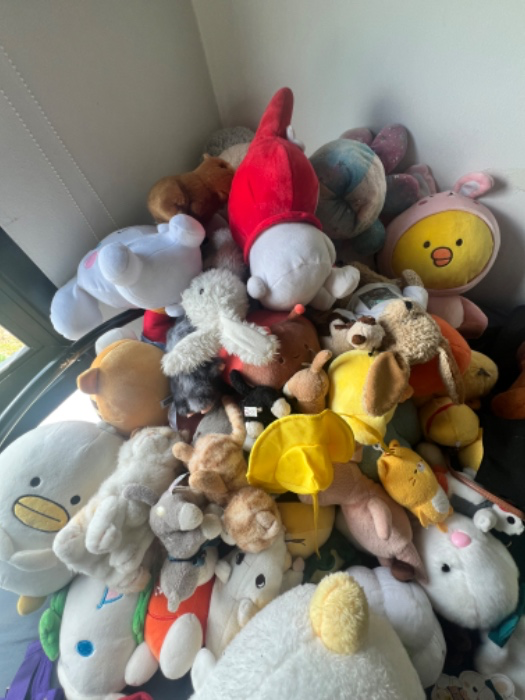 New plushie to join my army😆🥺