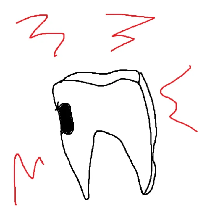 wild amounts of dental work