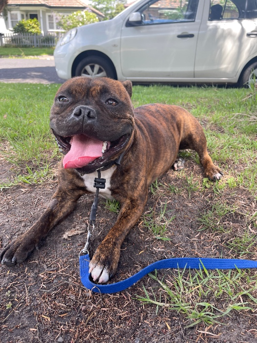 Daycare visit for Happy