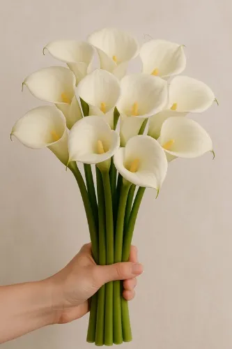 A bouquet of calla lillies