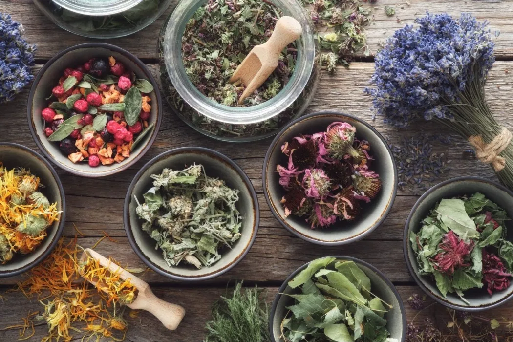 Gift Certificate - Mountain Rose Herbs