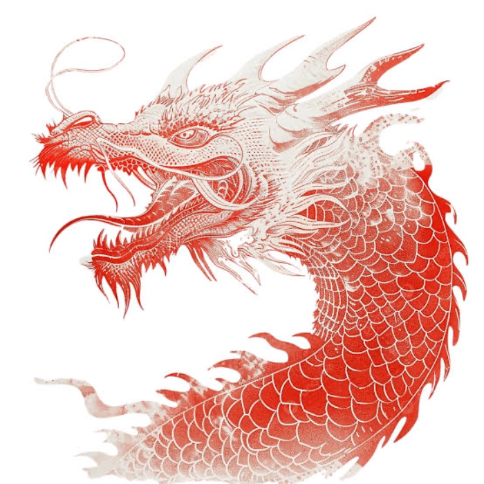 Red Chinese dragon leg sleeve 