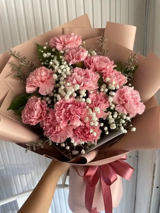 🌸Carnations🌸