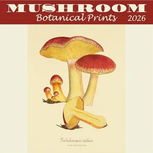2026 Mushroom Calendar