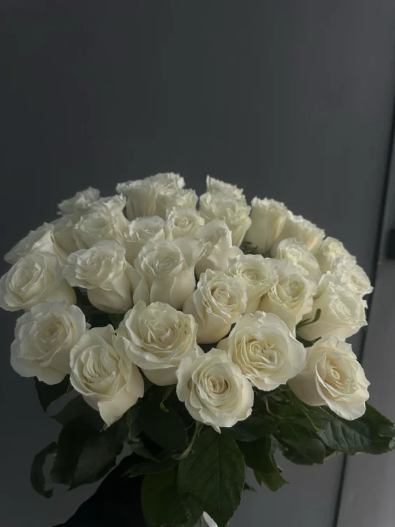 White roses for your girl 🎀👸🏻