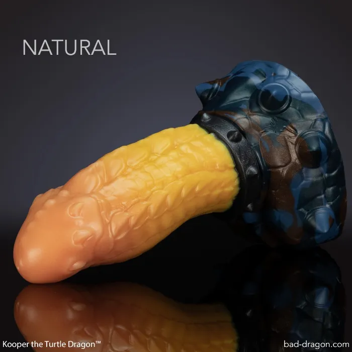 Kooper the Turtle Dragon - Bad Dragon