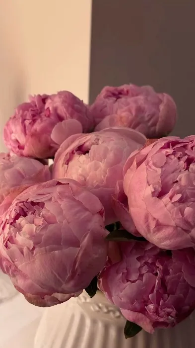 Bouquet of Peonies 