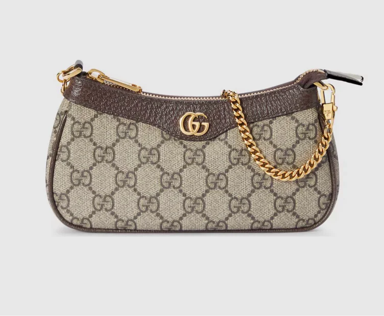 Gucci mini bag
