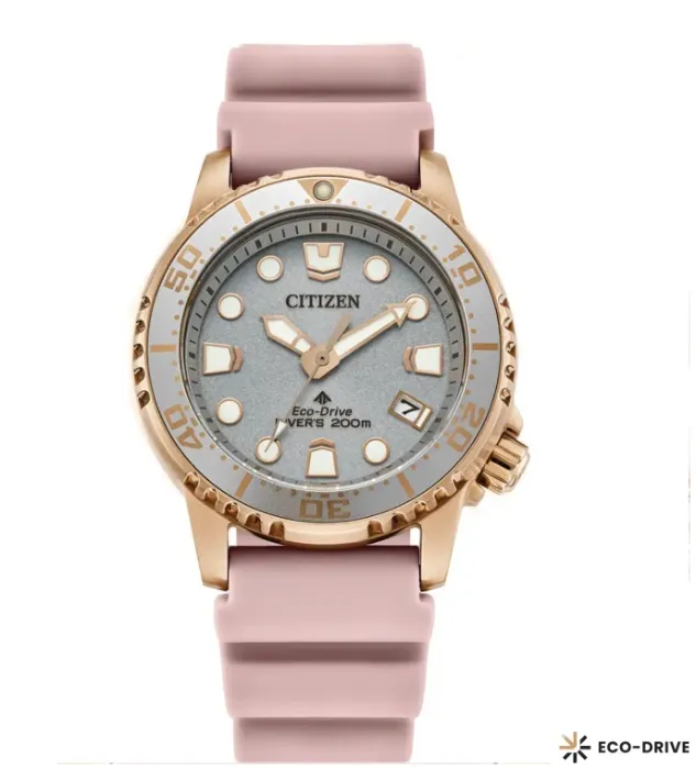 Promaster Diver Watch