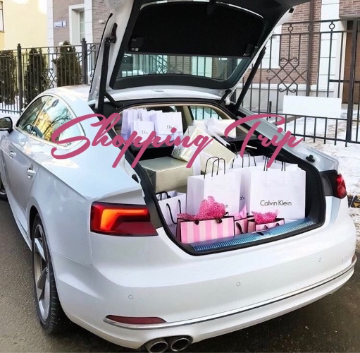 Shopping Trip 