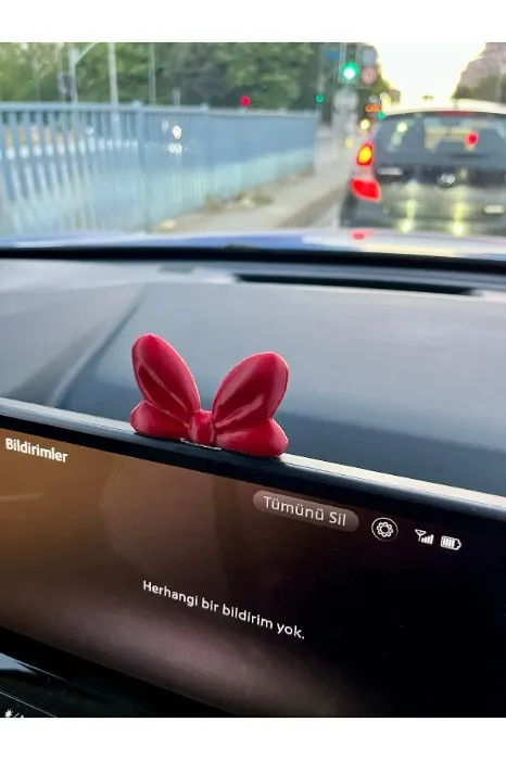 Cute Car Decoration ♥