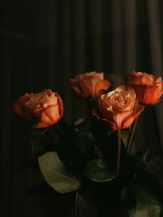 Bouquet of Roses ($100)
