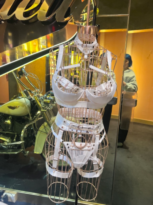 Reimburse My Lingerie Shopping