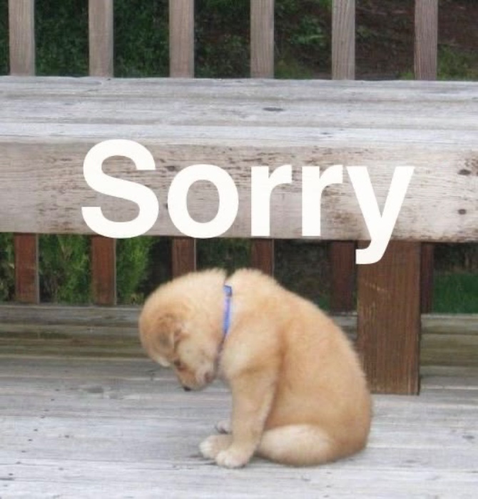 Apologies