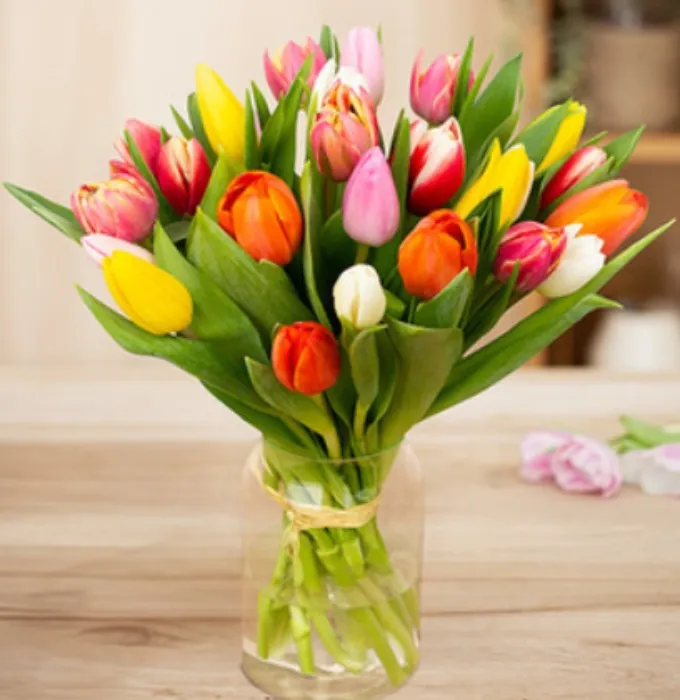 Tulips